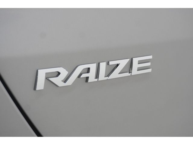 RAIZE HYBRID