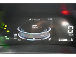 RAIZE HYBRID