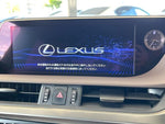 LEXUS ES300h