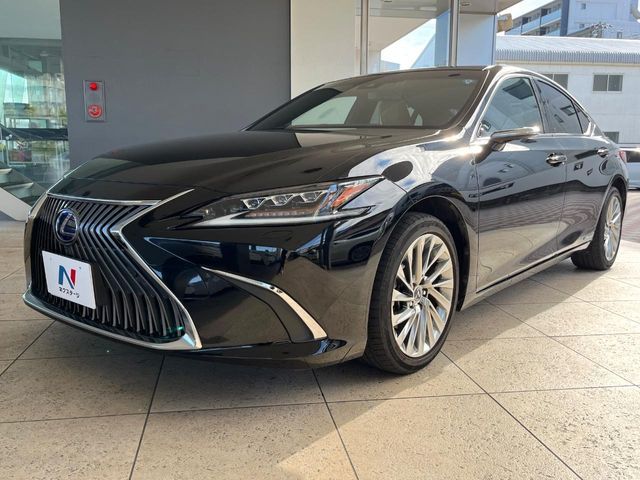 LEXUS ES300h