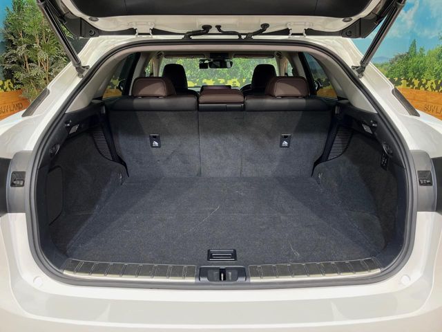 LEXUS RX450h AWD