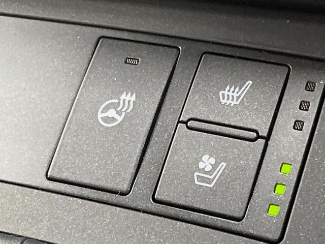 LEXUS IS300h
