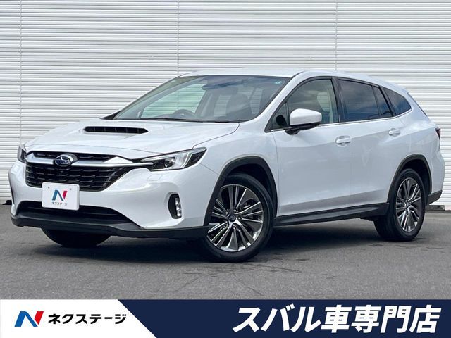 LEVORG LAYBACK