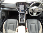 LEVORG LAYBACK