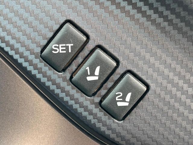 LEVORG LAYBACK