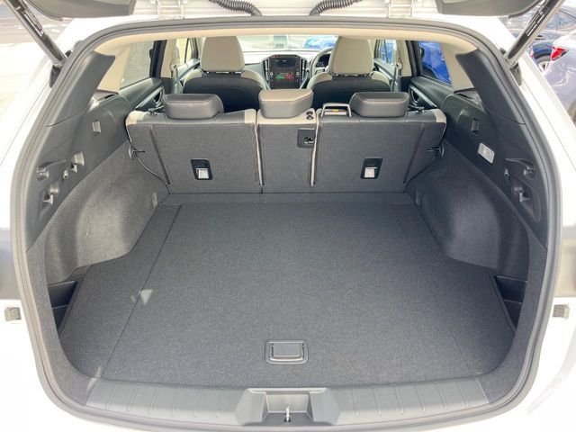 LEVORG LAYBACK