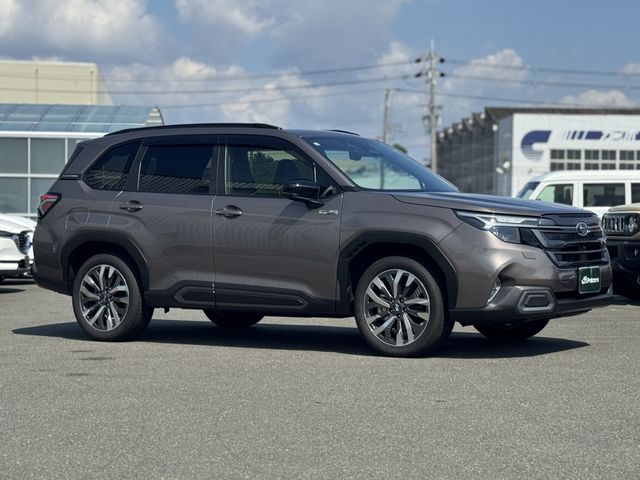 FORESTER