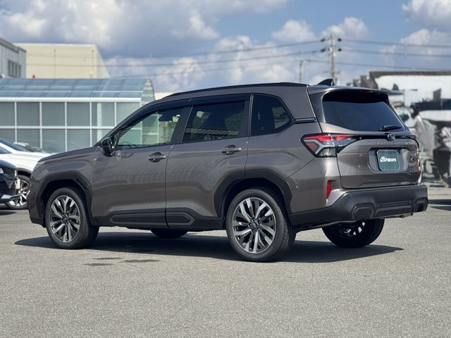 FORESTER