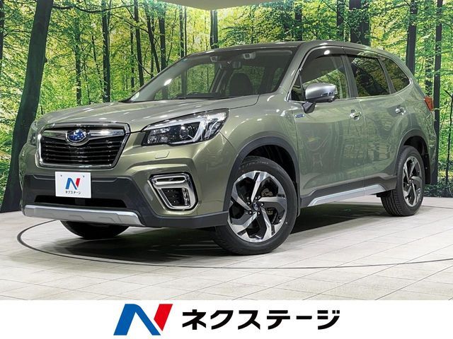 FORESTER