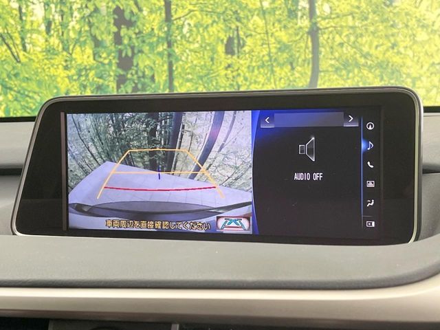 LEXUS RX200t