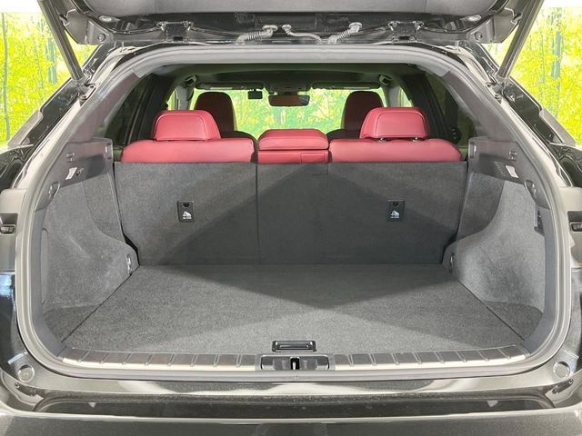 LEXUS RX200t