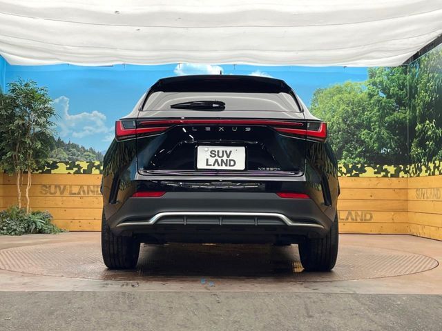 LEXUS NX350h