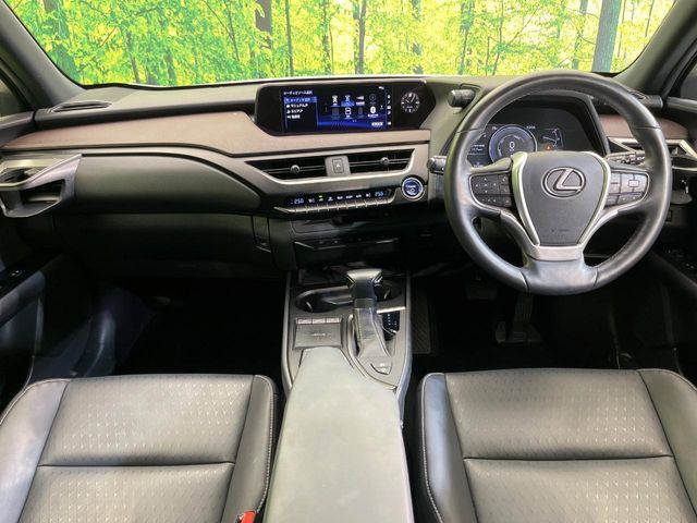 LEXUS UX250h