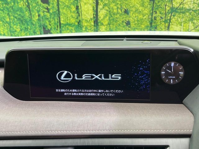 LEXUS UX250h
