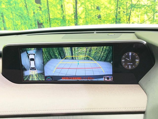 LEXUS UX250h