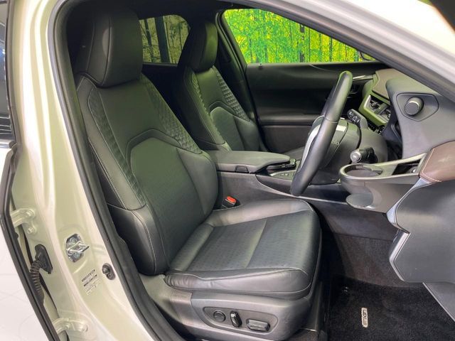 LEXUS UX250h