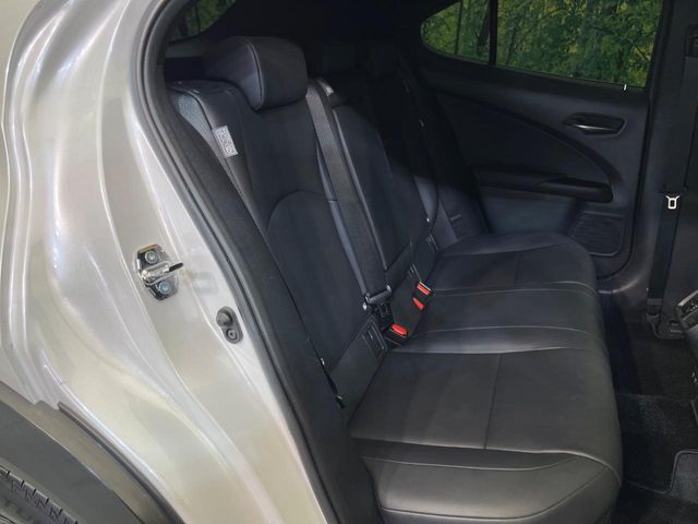 LEXUS UX250h