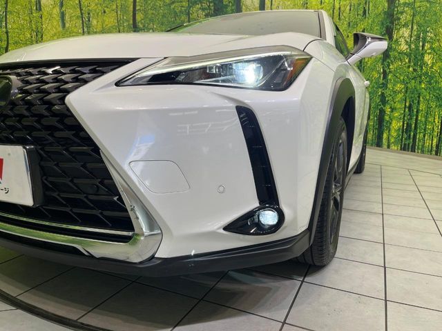 LEXUS UX250h