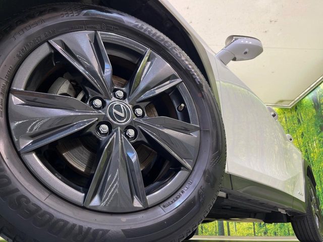 LEXUS UX250h