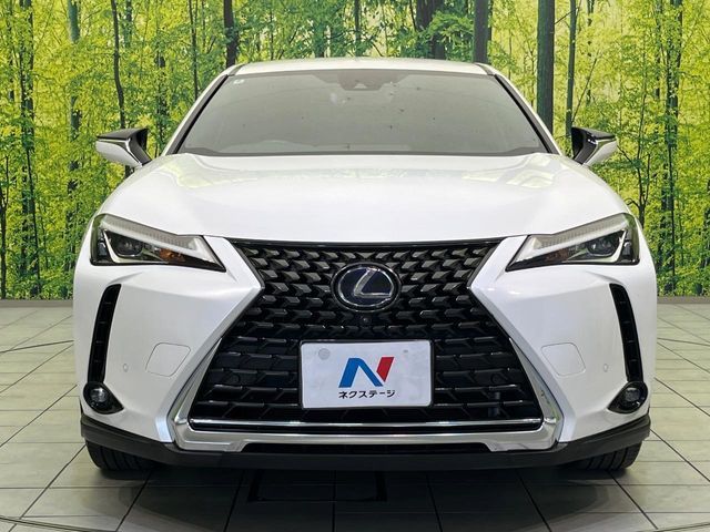 LEXUS UX250h