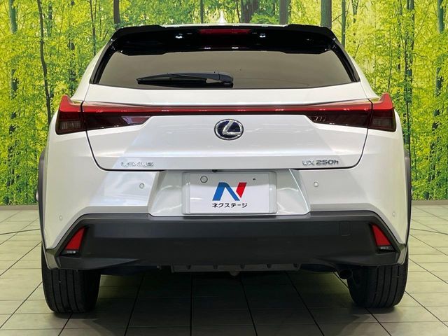 LEXUS UX250h