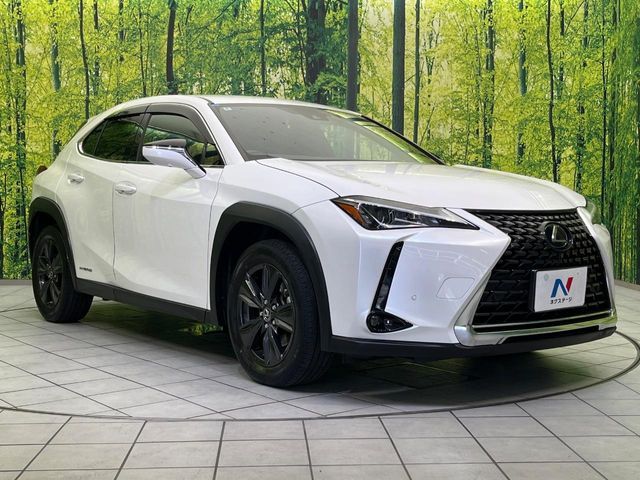 LEXUS UX250h