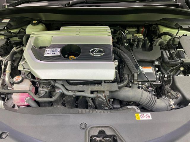 LEXUS UX250h