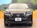 LEXUS NX300h