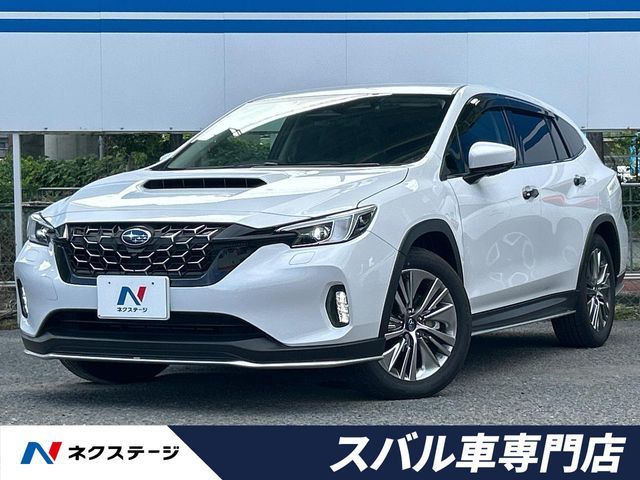 LEVORG LAYBACK