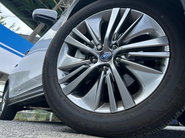LEVORG LAYBACK