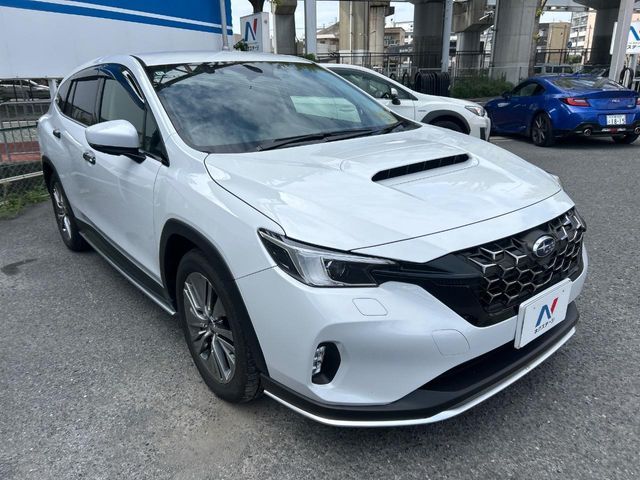 LEVORG LAYBACK
