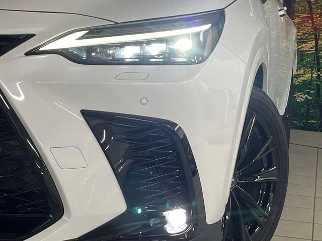 LEXUS NX350h AWD