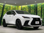 LEXUS NX350h AWD