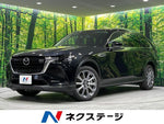 CX-80