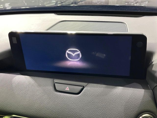 CX-80