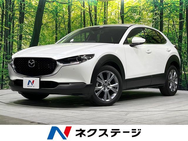 CX-30