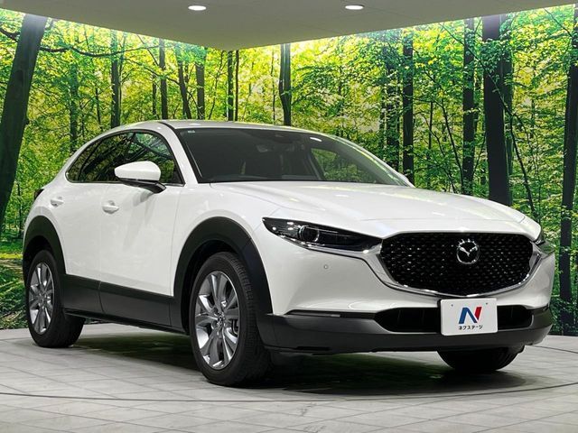 CX-30