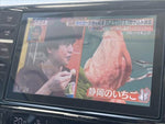 LEGACY OUTBACK