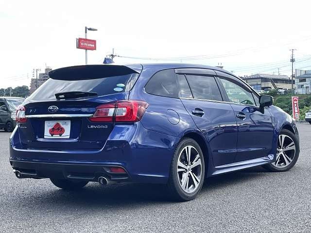 LEVORG