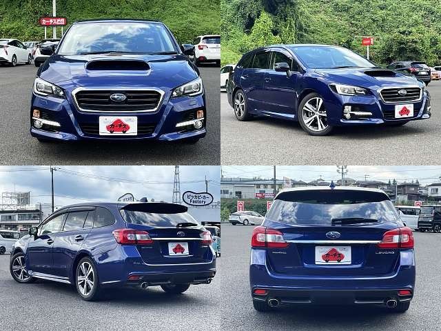 LEVORG