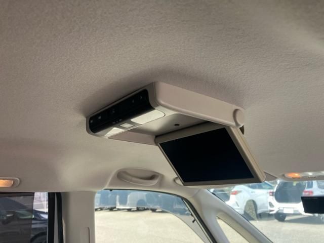 SERENA  WG
