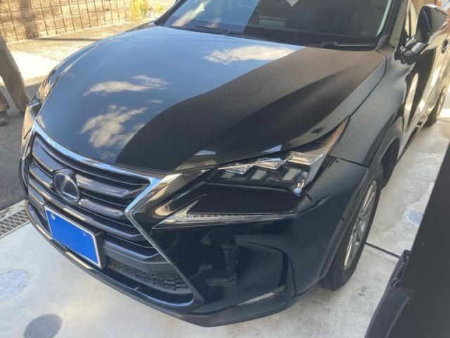 LEXUS NX300h