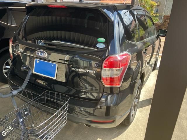 FORESTER