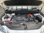 LEXUS NX350h AWD