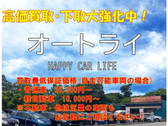 HIACE van 4WD