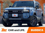 LANDCRUISER 250