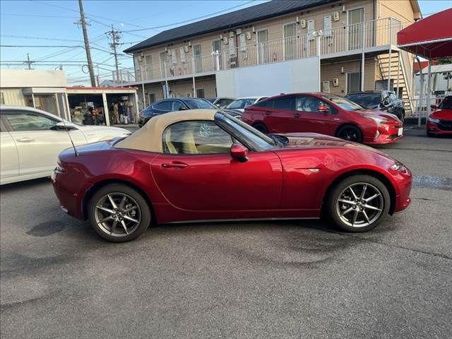 ROADSTER