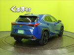 LEXUS UX250h