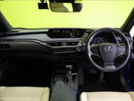 LEXUS UX250h