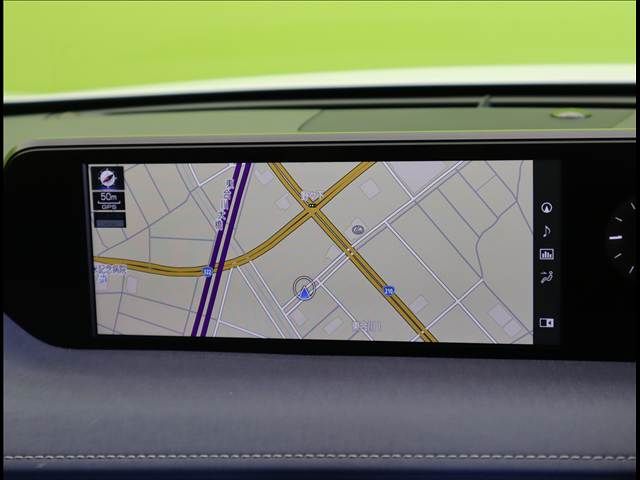 LEXUS UX250h
